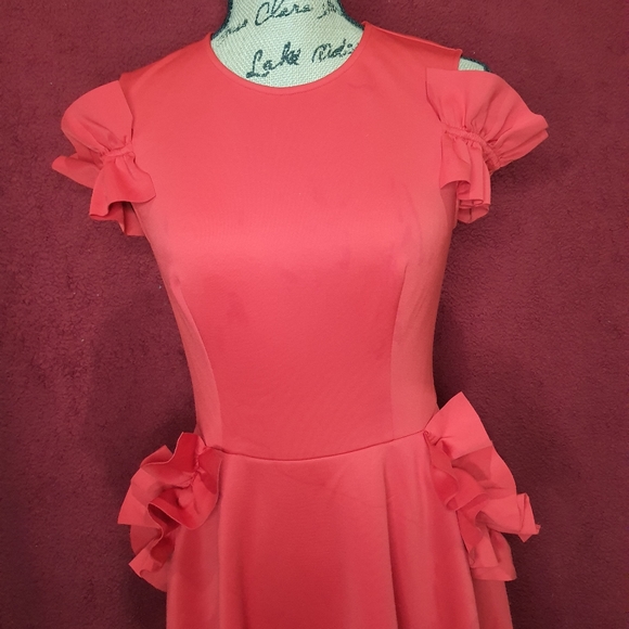 NWOT Ted Baker Detailed Ruffled w/ Pockets Dress - Picture 3 of 8